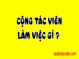 Cộng tác viên làm việc gì